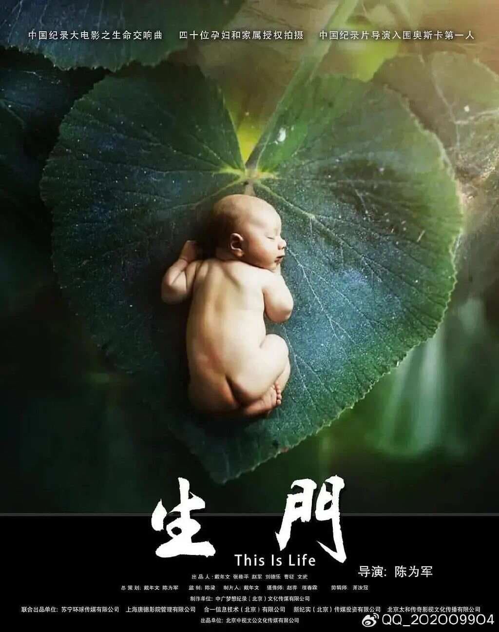 三部引人深思的纪录片：《生门》《人间世》《人间世·抗疫特别节目》