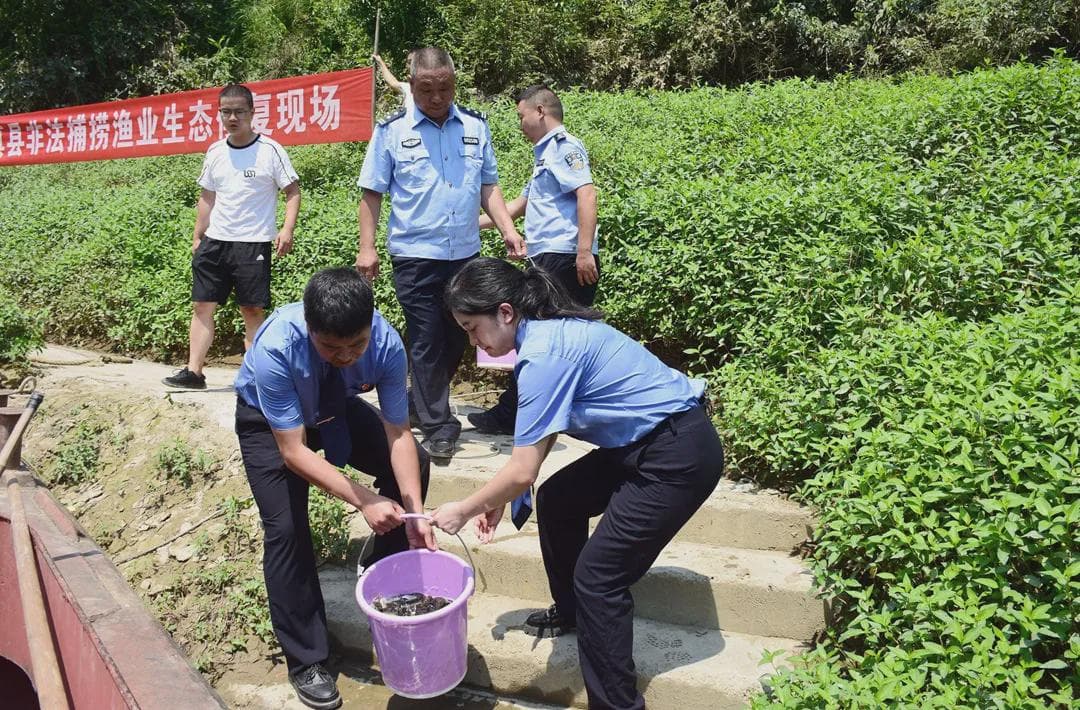 打击非法捕捞，道真两人被罚增殖放流