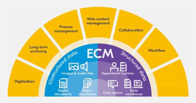 细胞外基质（ECM）：组织健康的守护者