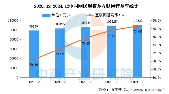 2024年中国互联网网民结构状况分析：网民规模达11.08亿