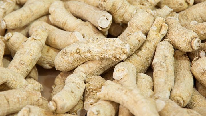 西洋参的八种正确食用方法