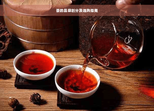 茶的品级划分及选购指南