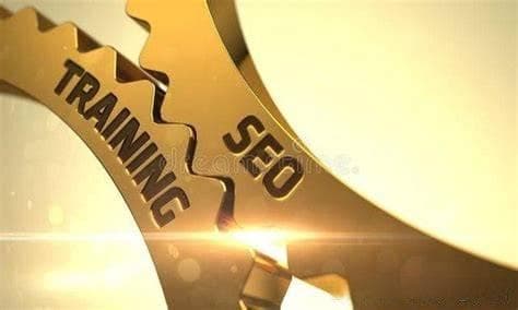 SEO新手必看：全面掌握优化技巧，让网站流量与曝光飙升