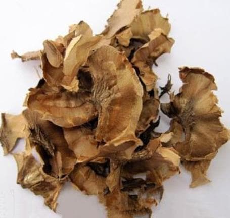 核桃分心木：功效与食用方法全解析