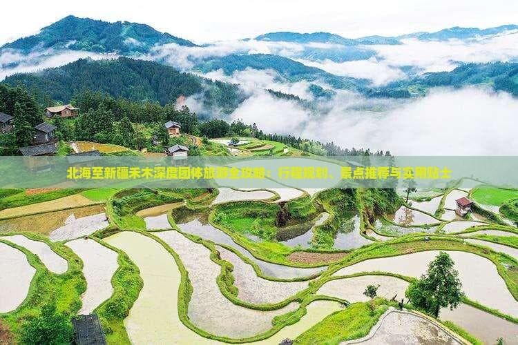 北海至新疆禾木7日深度游全攻略：行程规划到实用贴士