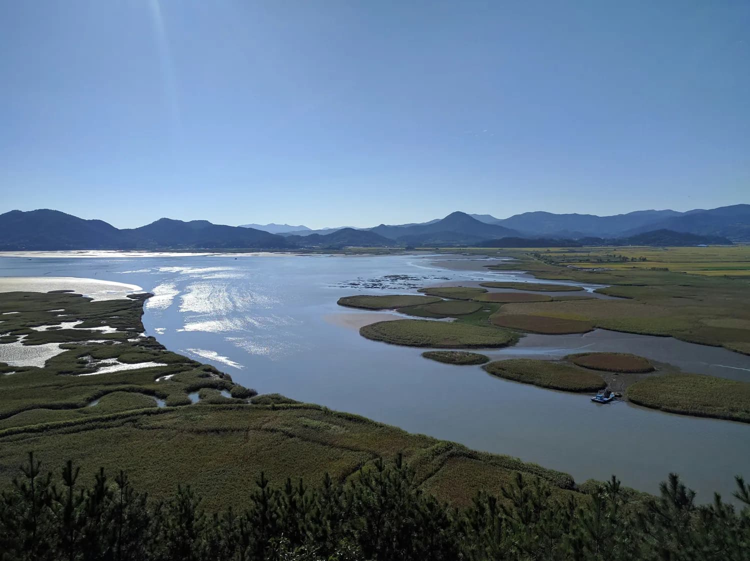 纳帕海：高原湿地的生态蝶变