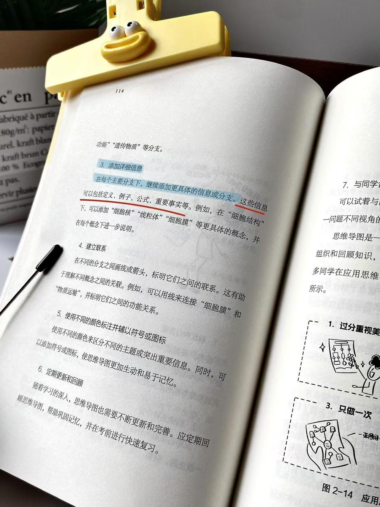 从中心主题开始，绘制你的知识地图