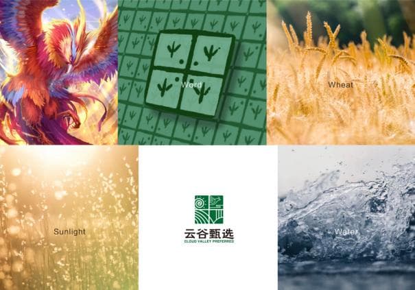 VI设计｜如何在VI公司设计中有效地传达品牌理念