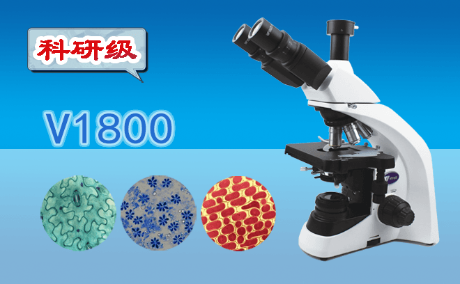 使用光学显微镜时的安全注意事项