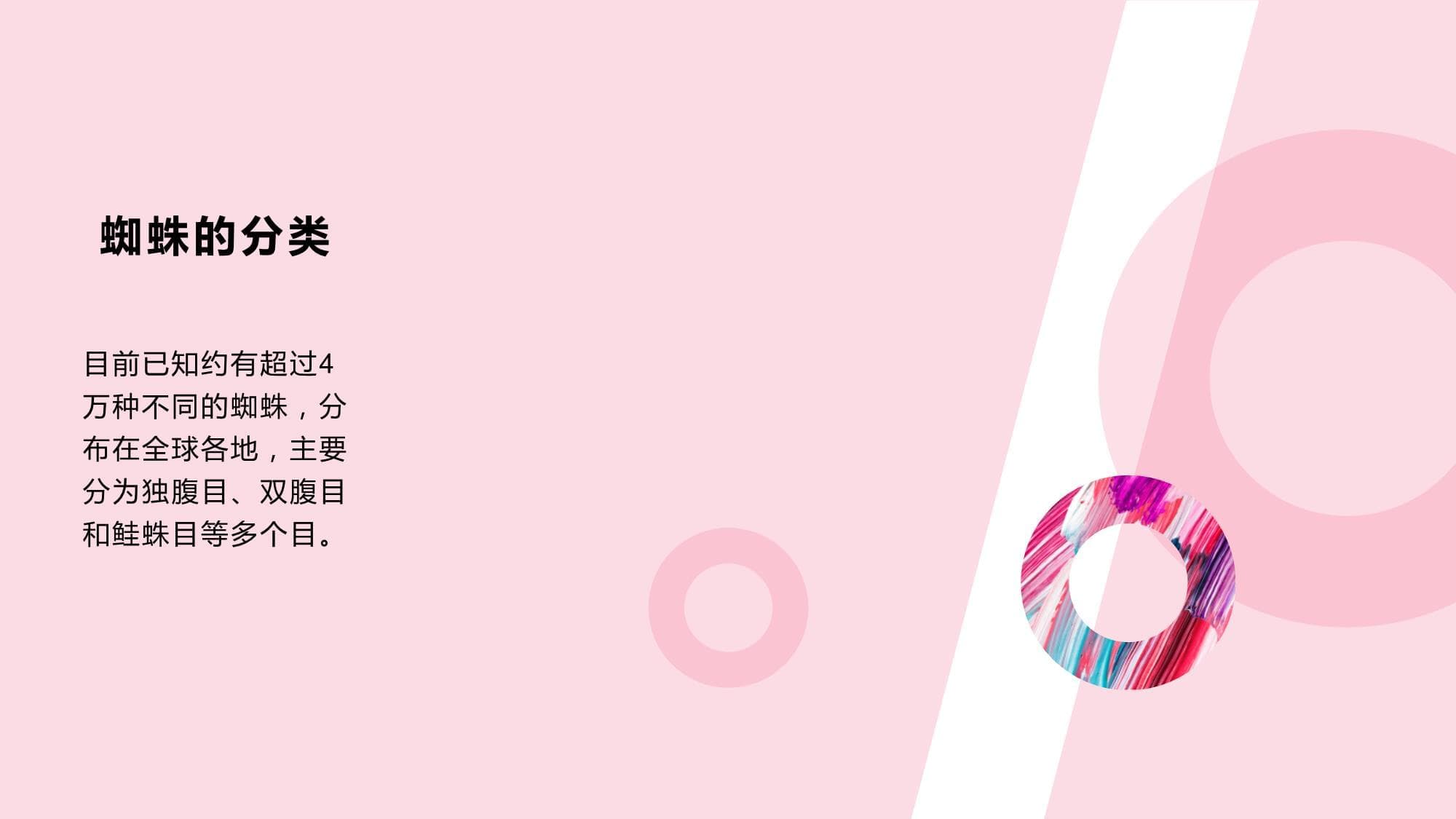 蜘蛛的外部形态与行为特征