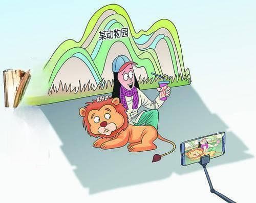莫把野生动物当宠物