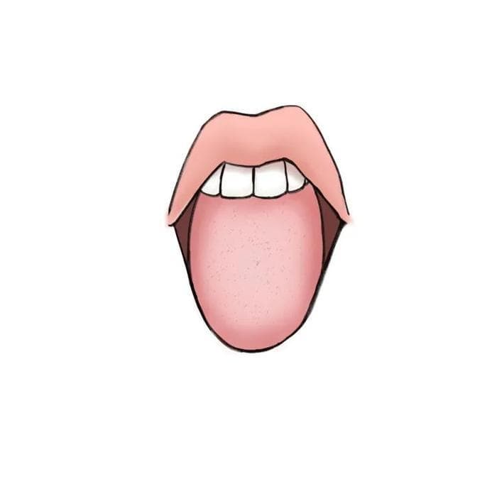 【观舌，知健康】学会看舌象，有病己先知