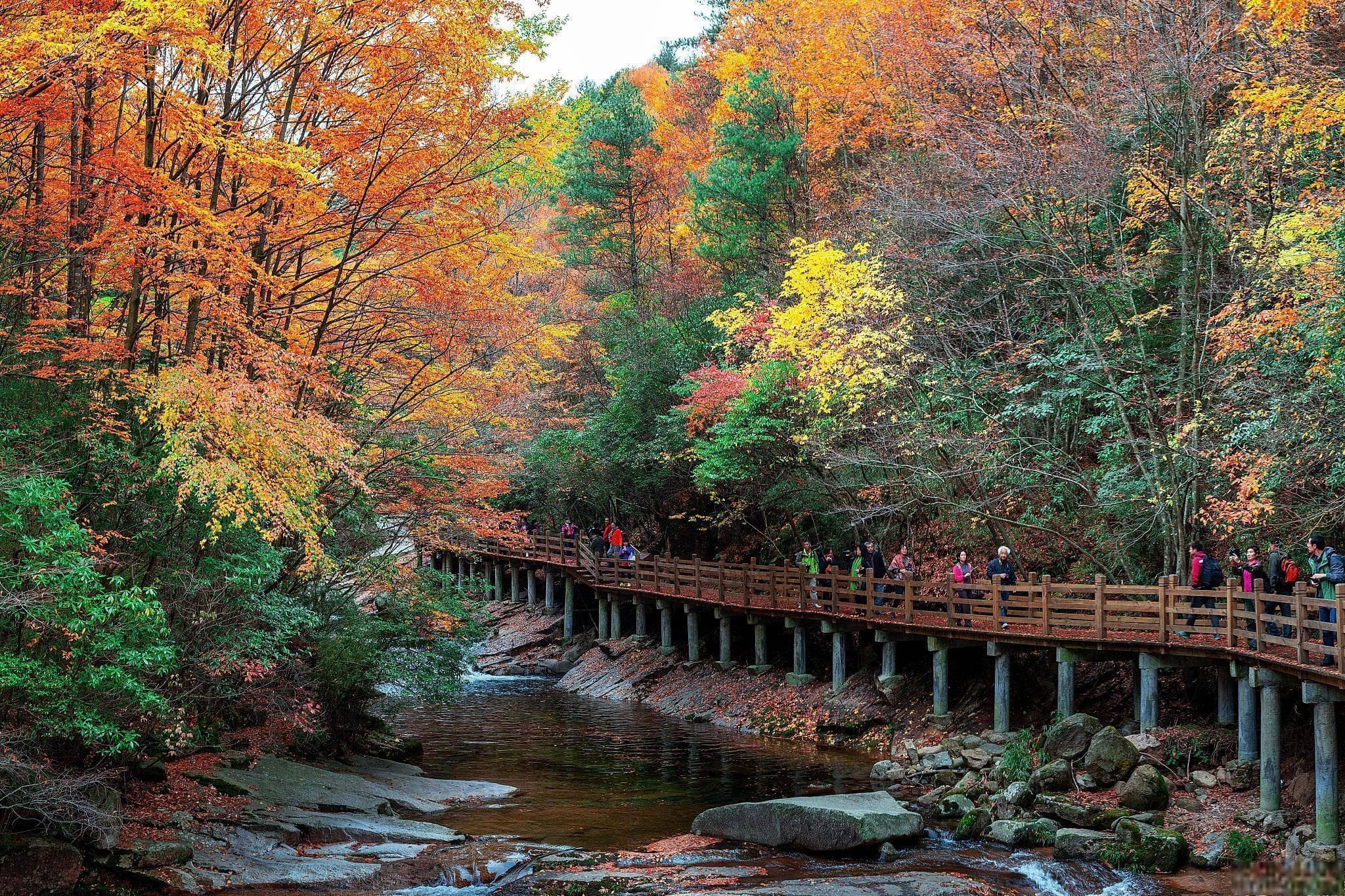 邛崃市旅游必去十大景点：从天台山到临邛古城