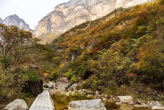 秋游八里沟：金黄枫红映山色，文旅活动正当时
