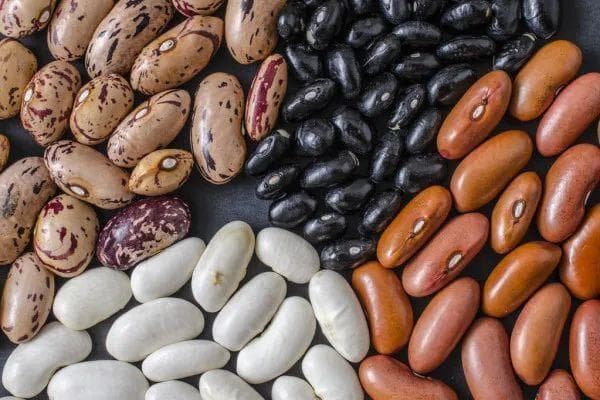不想吃肉怎么补蛋白？四类食物轻松补充每日所需