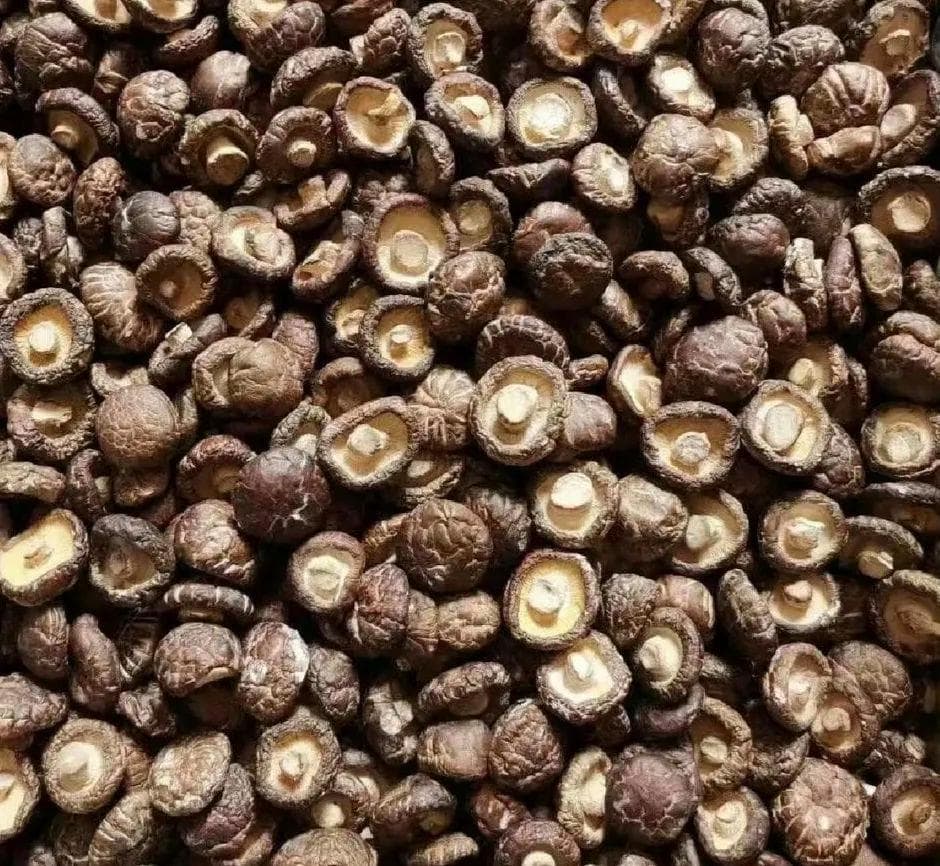 泡香菇，最佳时间到底是多久？大厨教您秘诀，5分钟香菇又亮又软
