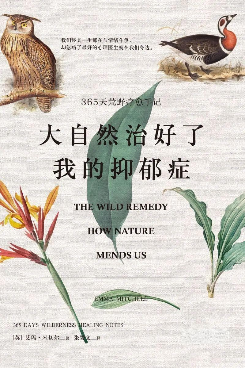《大自然治好了我的抑郁症》：大自然就是最好的心理医生