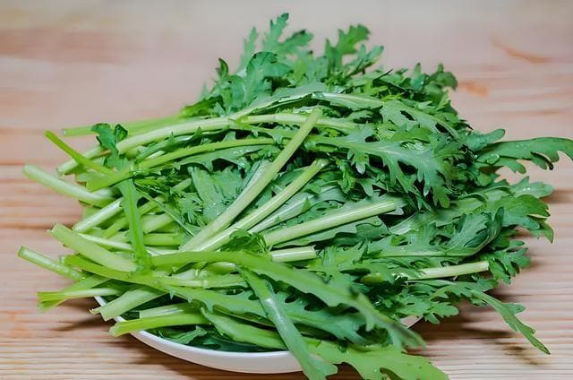茼蒿什么季节播种，茼蒿种子怎么种植？