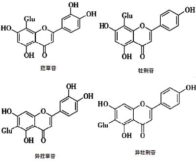 竹叶黄酮：从提取到应用的全面解析