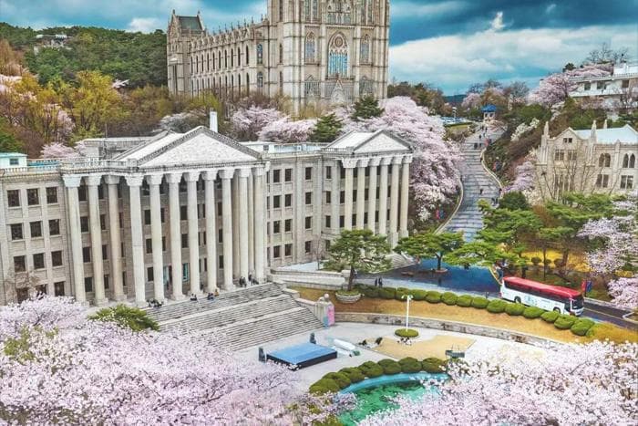 2025环境设计最好的十所大学，专业实力分析