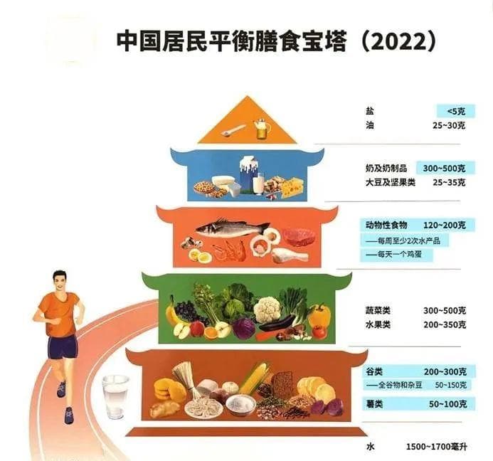 精力不足、易发感冒，免疫力低的你，如何提高免疫力｜世界强化免疫日