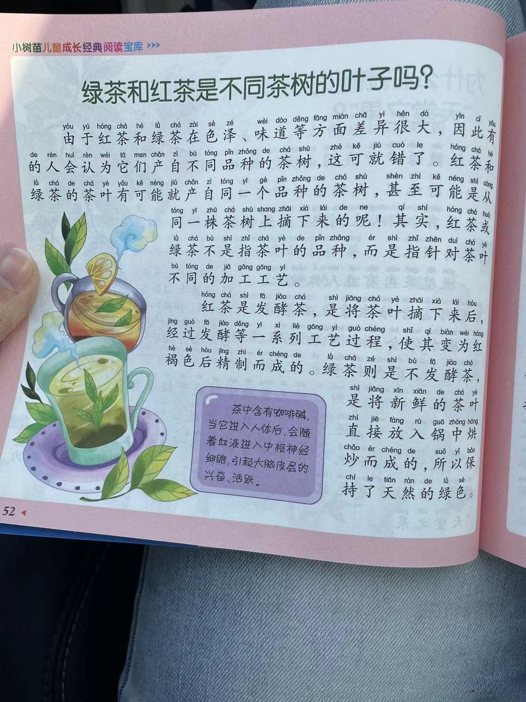 十万个为什么之绿茶和红茶是不同茶树的叶子吗?