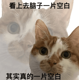 【科普】频繁丢三落四，小心 “脑雾” 悄悄靠近！