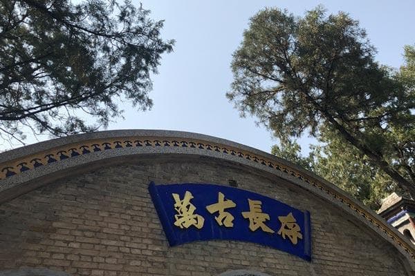 清明节为什么要插柳条