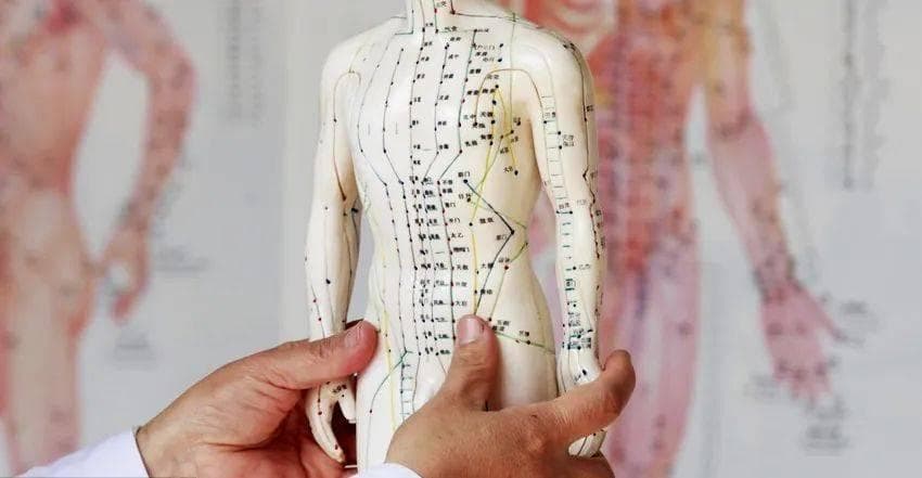 百草益寿：中医「八脉交会穴」，通奇经八脉，调全身疾病
