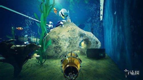 “养鱼换水，新手必看！水族箱养鱼新技能，轻松上手！”