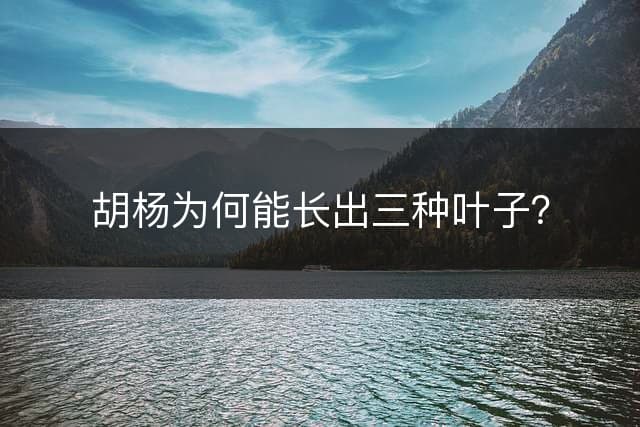 胡杨为何能长出三种叶子？