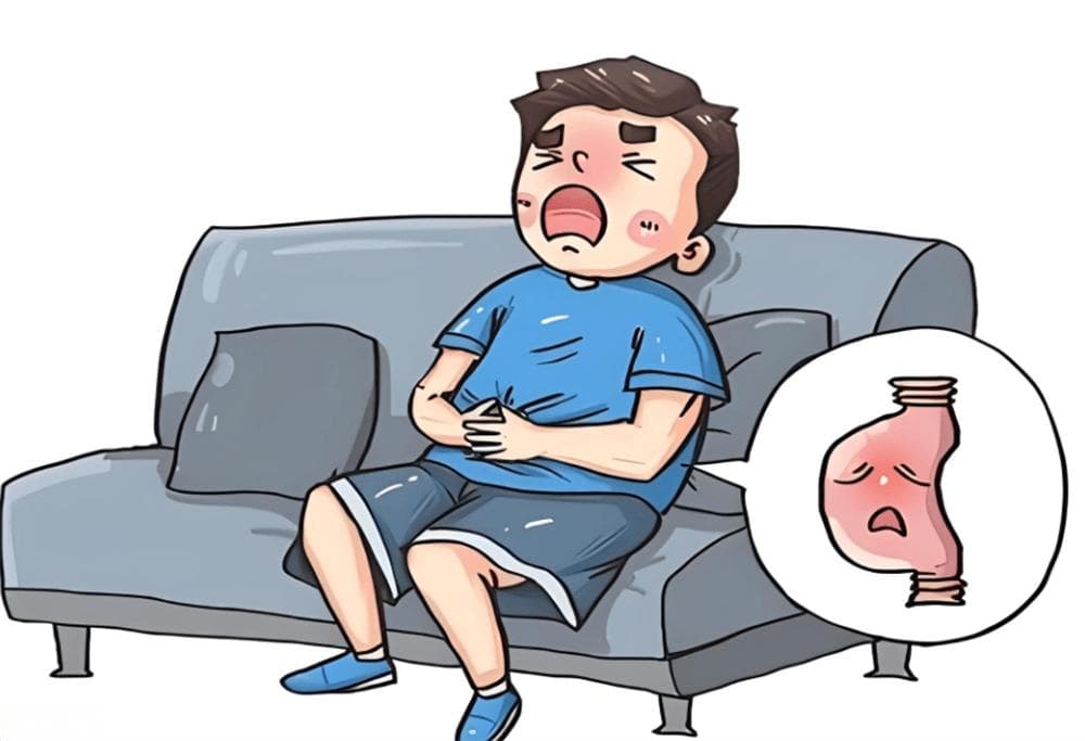 脾胃不好怎么调理？脾胃健康，从日常调理开始——实用指南大公开！