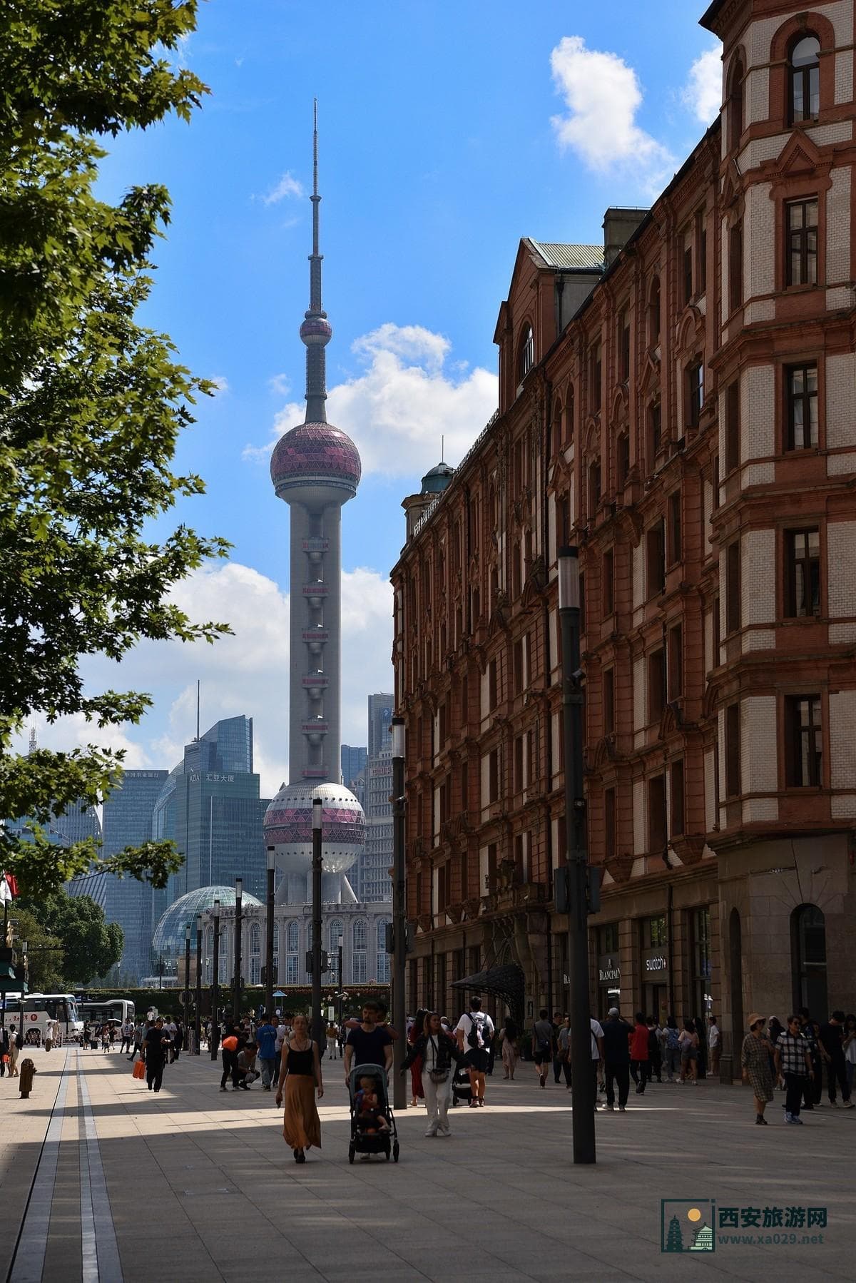 苏州至上海一日游攻略：行程规划、交通指南与必游景点推荐