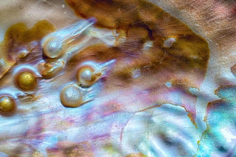 珍珠PEARL｜慢溫水晶天然礦石知識庫
