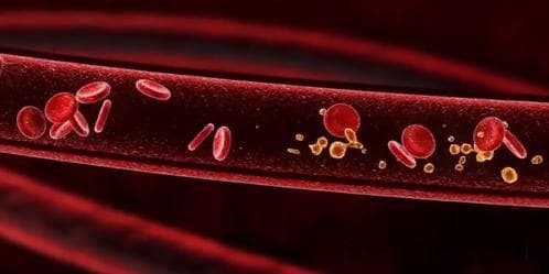 高血压管理新策略：科学补充硒元素，守护心血管健康