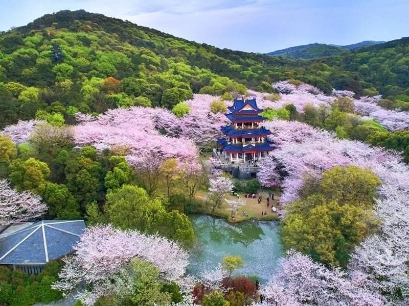 郭沫若笔下的“太湖佳绝处”：鼋头渚风景区全览