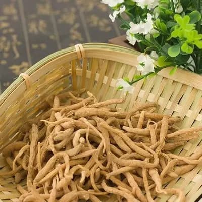 手把手教你认清中草药植物500种（根类15.太子参）