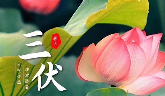 “伏天一碗汤，不劳医生帮”，中老年人多喝4碗汤，清爽又解暑！