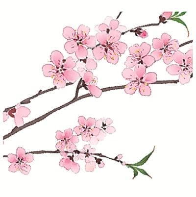 惊蛰与春分：节气里的文化与科学