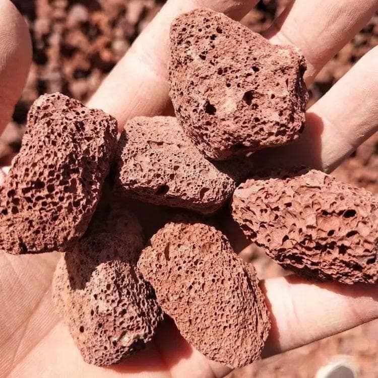 火山石养龟法：是智商税还是真有用？