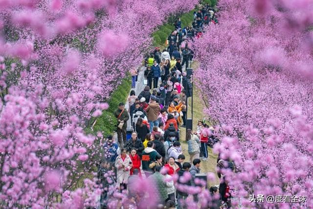 春日花海，共赴美好：解锁春天的 N 种浪漫！