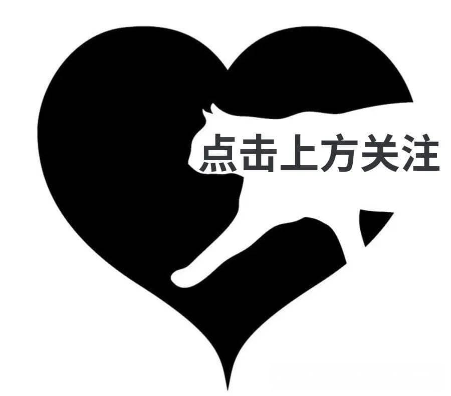2024 ISFM/AAFP 猫长期使用非甾体抗炎药共识指南要点总结