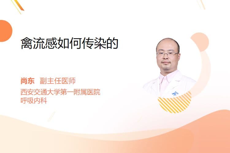 禽流感如何传染的
