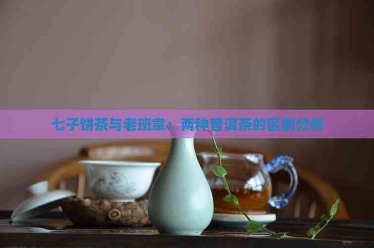 七子饼茶与老班章：两种普洱茶的区别分析