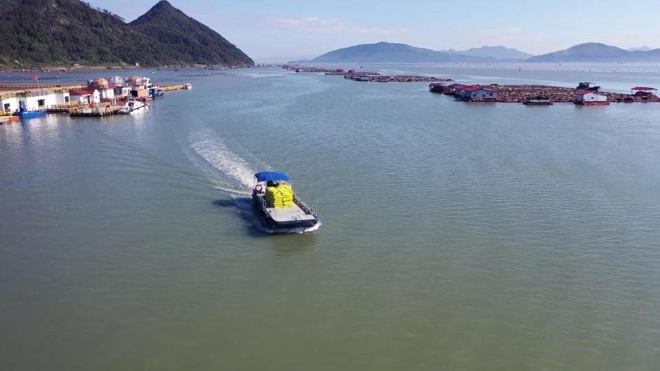 新春走基层｜福建福安：“电动”赋能 引领船舶业绿色转型