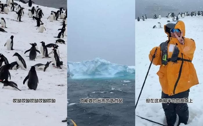 3个月涨粉880万，蓝战非活成了“打工人的终极梦想”|抖音精选观察