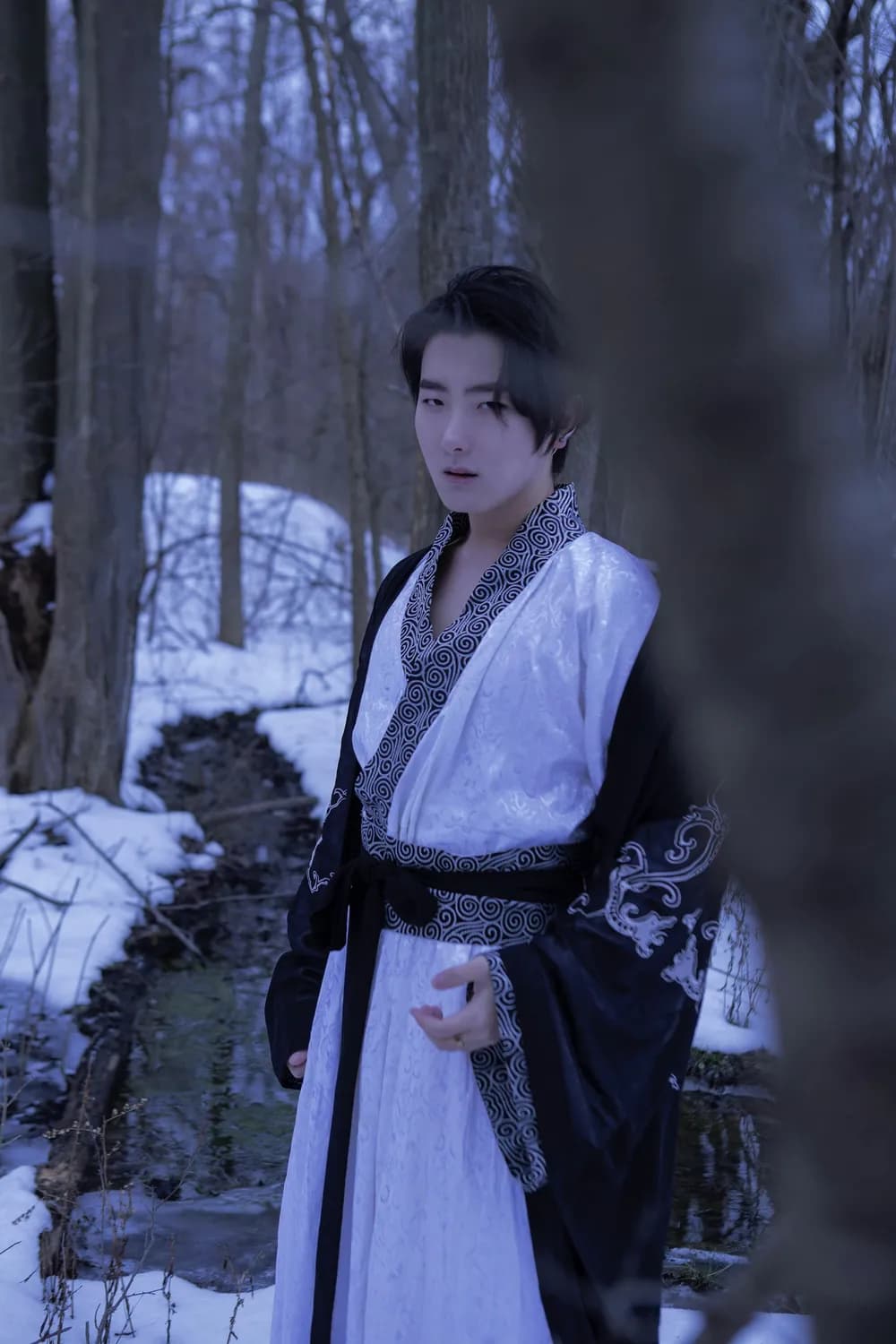 2024年爆红男星大盘点：新人崛起与熟脸转型的演艺圈新势力