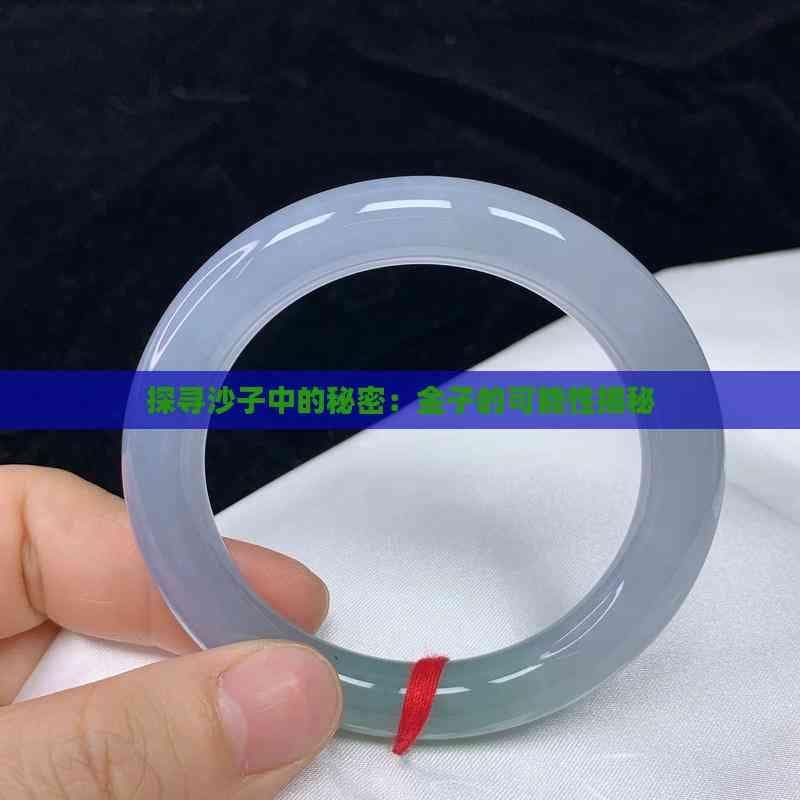 探寻沙子中的秘密：金子的可能性揭秘