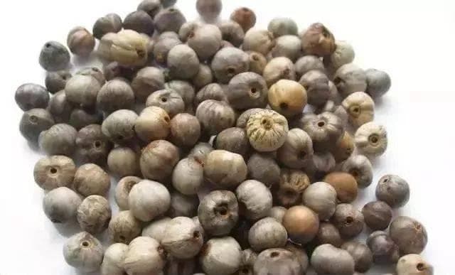 被遗忘的草菩提：从念佛珠到传世珍宝的蜕变之旅