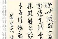 从王铎到张旭：中国古代草书唐诗书法艺术